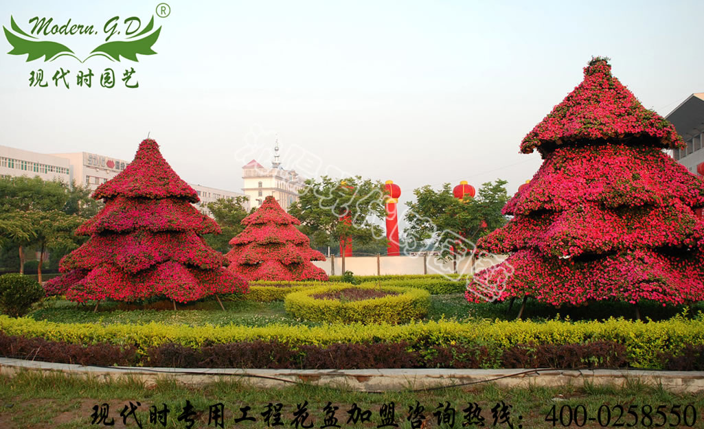 ����ϵ��