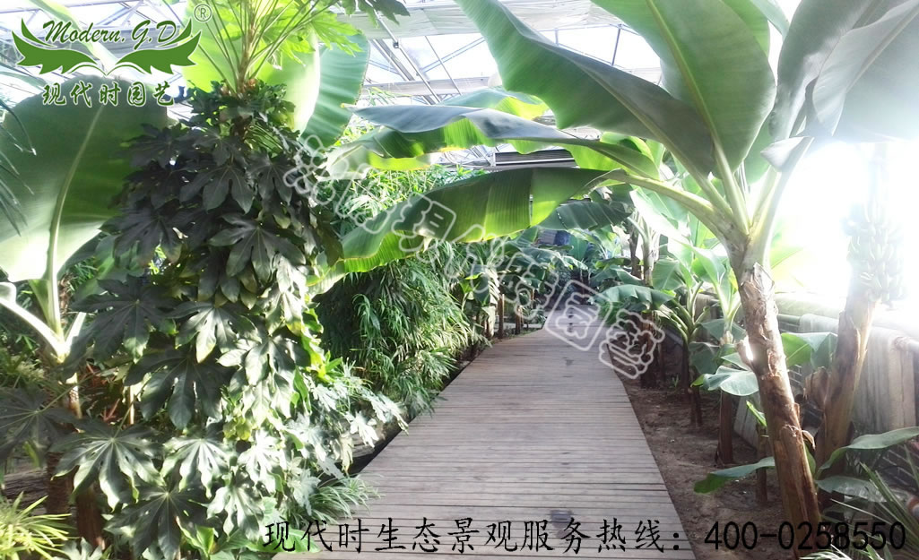 �^���r�I�@