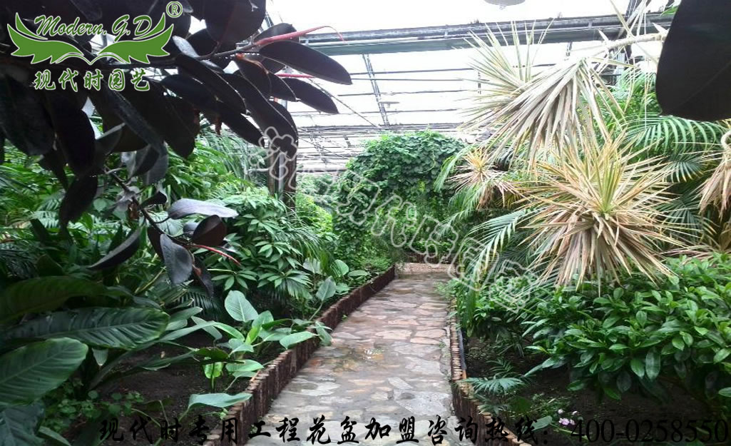 �^���r�I�@