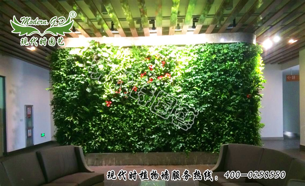 �o��ʽֲ�