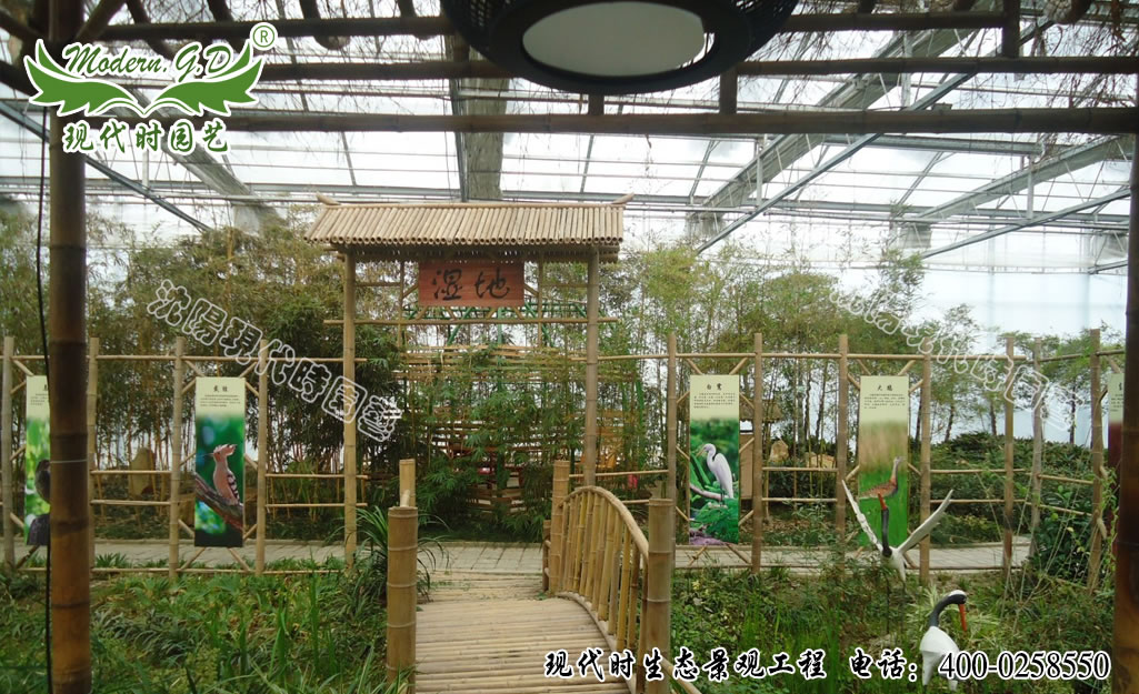 ���B�@����