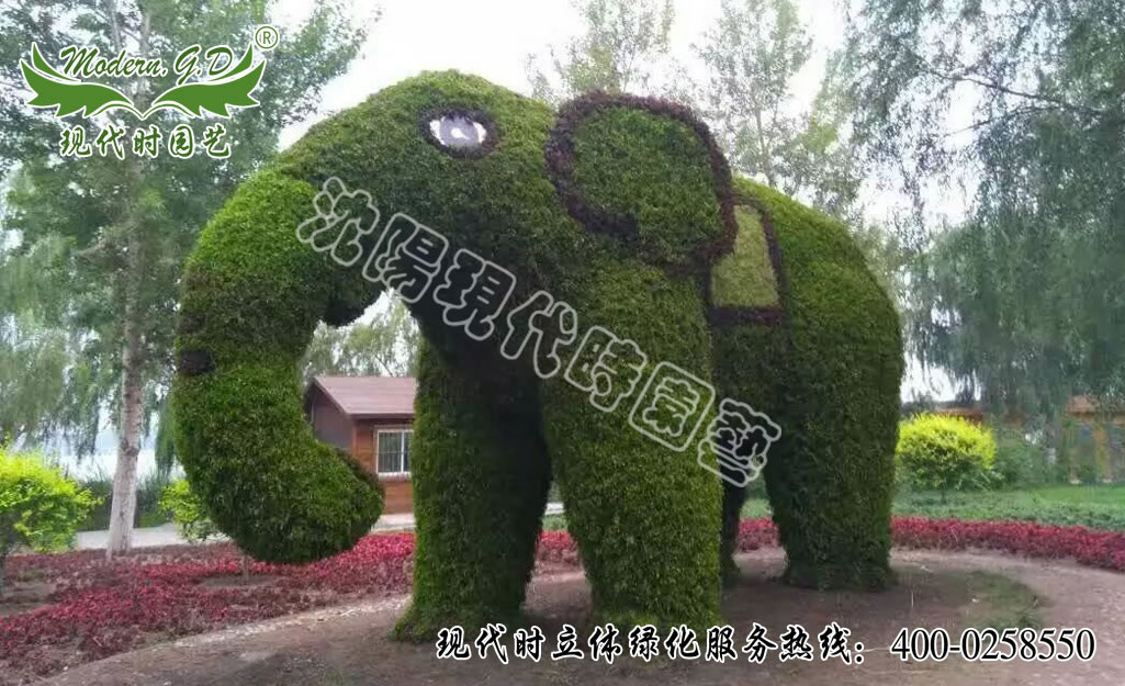 ��ɫ�ݵ���