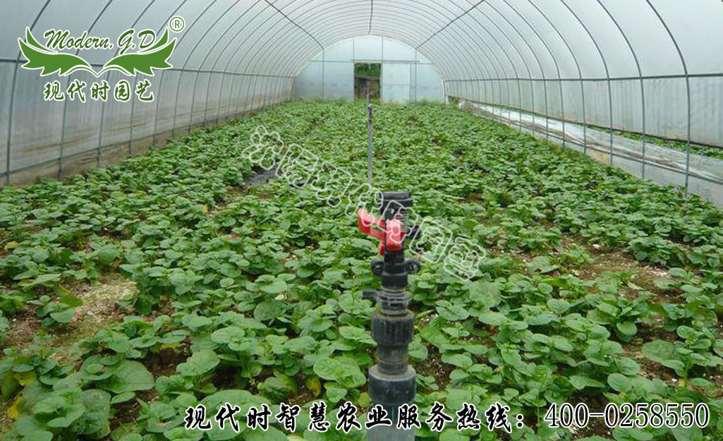 �Ԅӹ�ˮ���