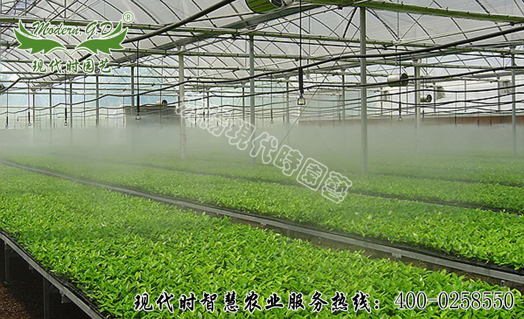 �Ԅӹ�ˮ���