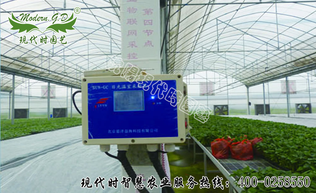 �r�I���W